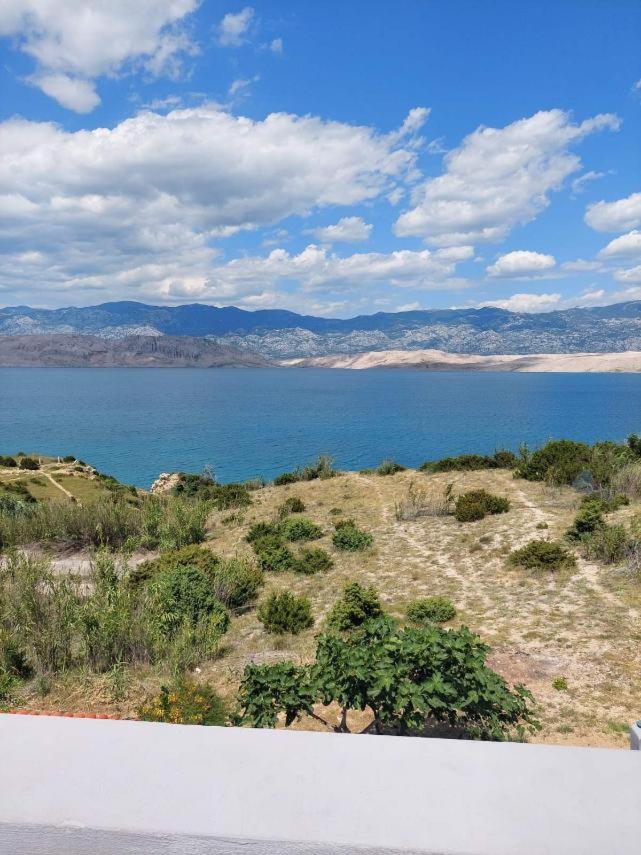 Apartmani Vesna باغ المظهر الخارجي الصورة