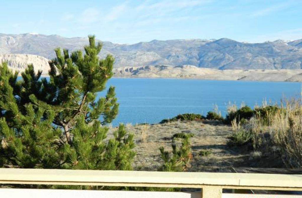 Apartmani Vesna باغ الغرفة الصورة